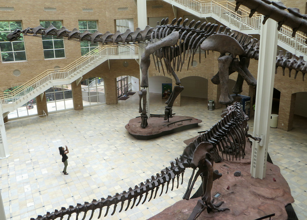 Fernbank Museum of Natural History